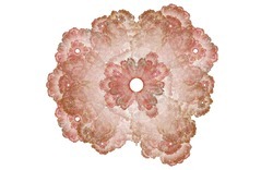 2014 04 26 Afternoon From Blanks 24-white.jpg